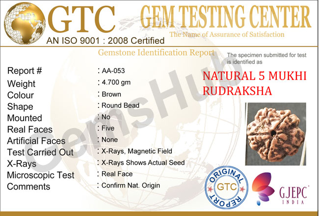 5 Mukhi Natural Certified Rudraksha Size- 22.3 mm Premium